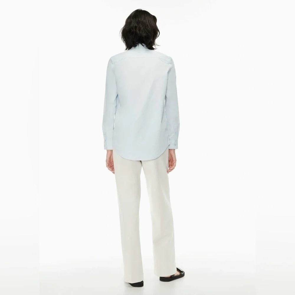 Aritzia Babaton essential classic shirt